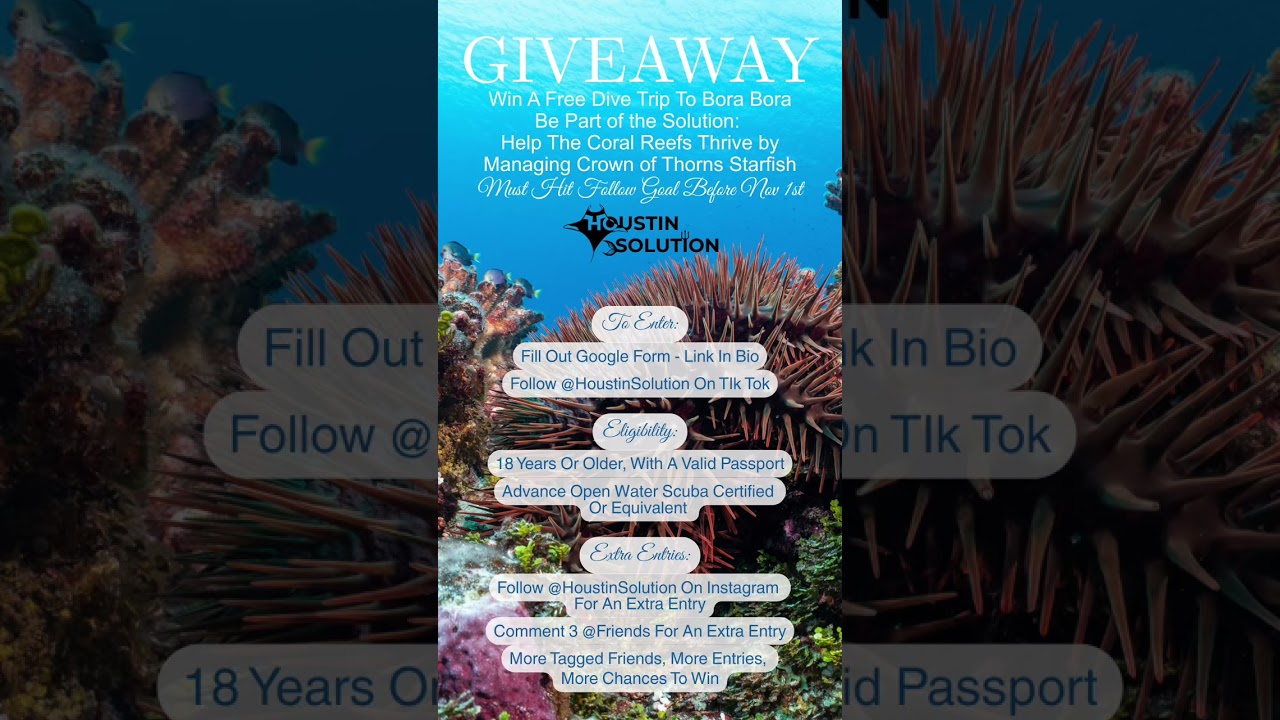 FREE DIVE TRIP TO BORA BORA! ✨🌊 