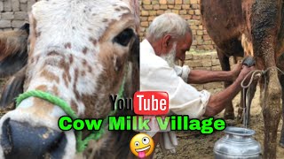 Cow Milk Vlog Cow Na Aj Milk 10 Kg Dyia