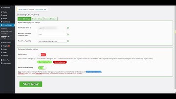 Paypal Sandbox Testing