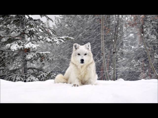 Headstrong - I Won't Fall