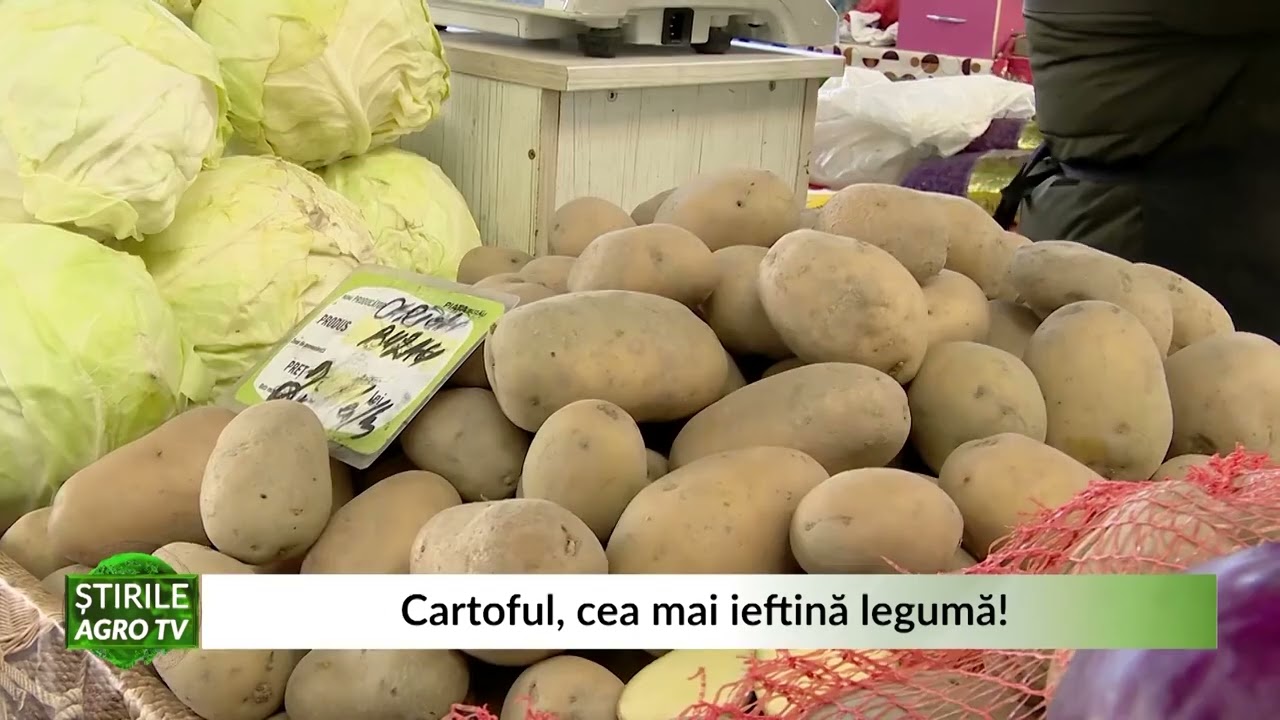 VIDEO Cartoful, cea mai ieftină legumă! 1 VIDEO Cartoful, cea mai ieftină legumă! YouTube player