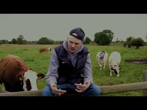 JaySonSick - Da Oben