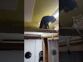 Chiemy's live.