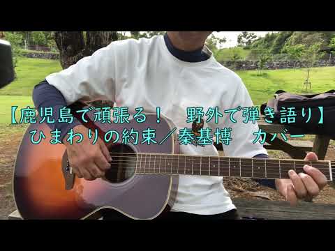 【鹿児島で頑張る！野外弾き語り】ひまわりの約束／秦 基博　カバー