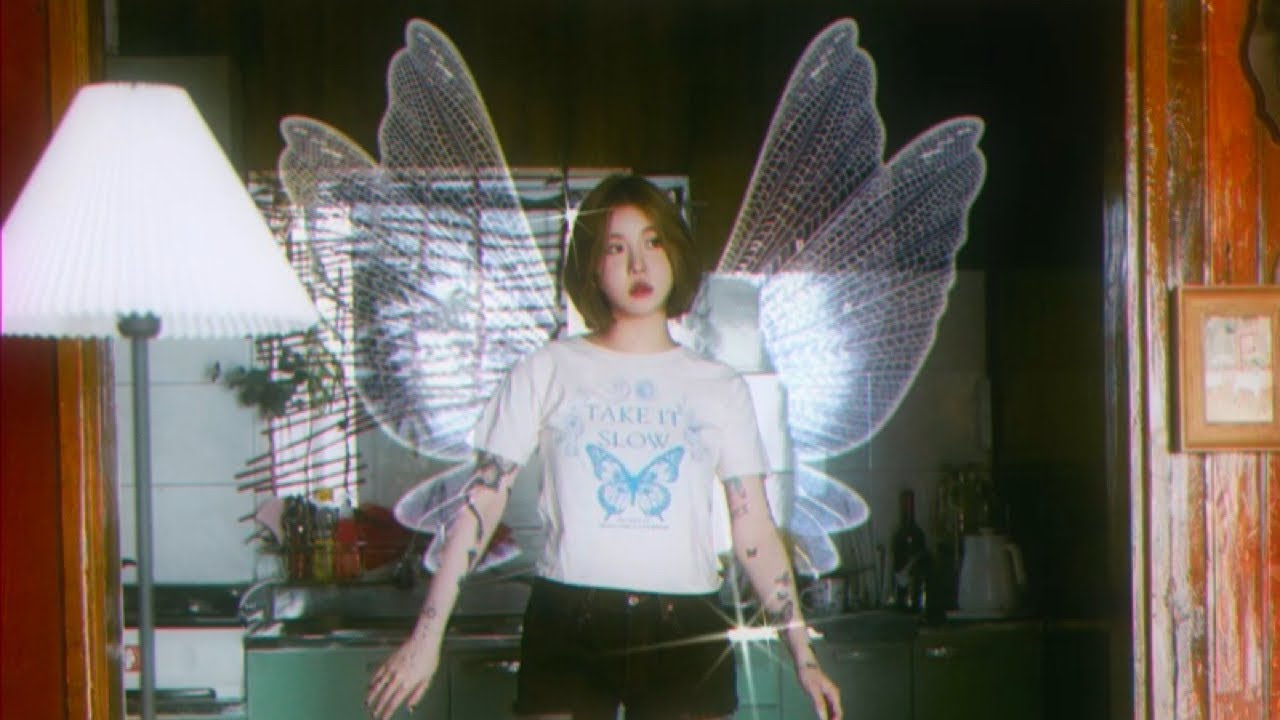 백예린 (Yerin Baek) - 나비효과 (by 신승훈)