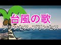 台風の歌/プリンセス•プリンセス 歌ってみた 【キー:+5 】