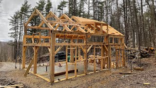 We Built a Timber Frame Home From Our Own Trees