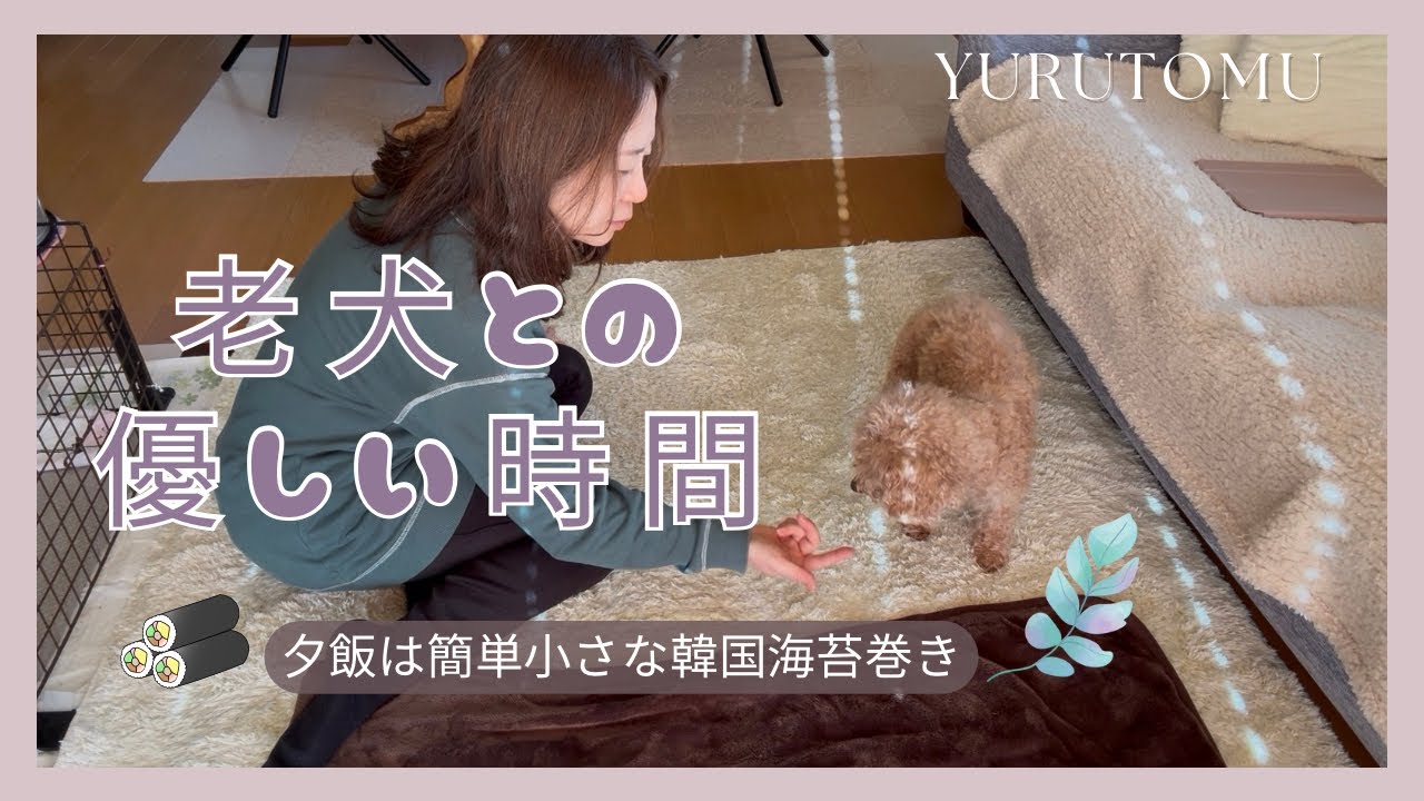 50代主婦vlog ｜老犬との日常｜韓国海苔巻きで夕飯｜夫婦ふたり暮らし