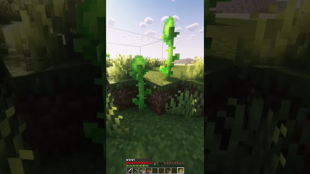 A clip from my Forever World  