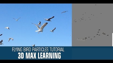 Tutorial  3d max bird animation with particles system