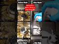 Burnt Stove Before Wash vs After Wash 🤯🔥 | Deep Cleaning ASMR #Shorts