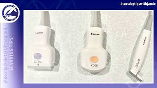 How to select the appropriate transducer for your MSK ultrasound exam