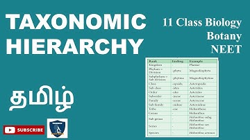 Taxonomic Hierarchy  Tamil | Taxonomy and   Systematic  Botany I Botany I Class 11 | TNSCERT | NEET