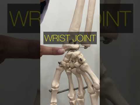 Close pack position of the body joints: Joints position: Joint Locking