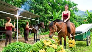 Building a Strong Horse Stable Before Winter Comes | Village Life