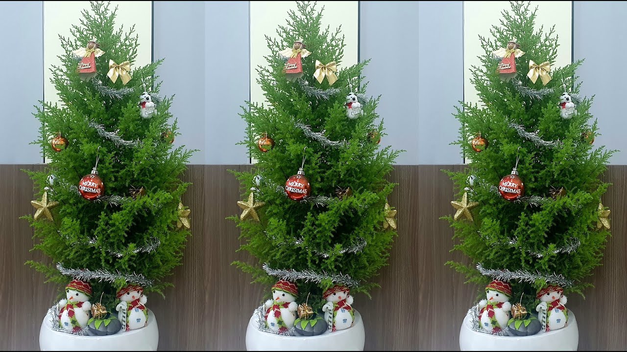 Trang Trí Cây Thông Noel Từ Cây Tùng Thơm | Decorate The Christmas Tree  From Goldcrest Tree - Youtube