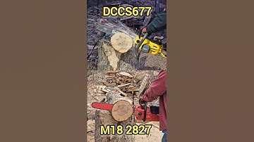 Milwaukee 2827 vs Dewalt DCCS677 #cordless #chainsaw #speed