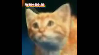 Mimsie The Cat From Origin Sing Mimsie The Cat From Origin Sing