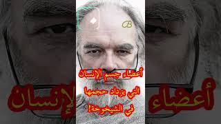 ما هو العضو الذي لا يتوقف نموه مع الشيخوخة؟