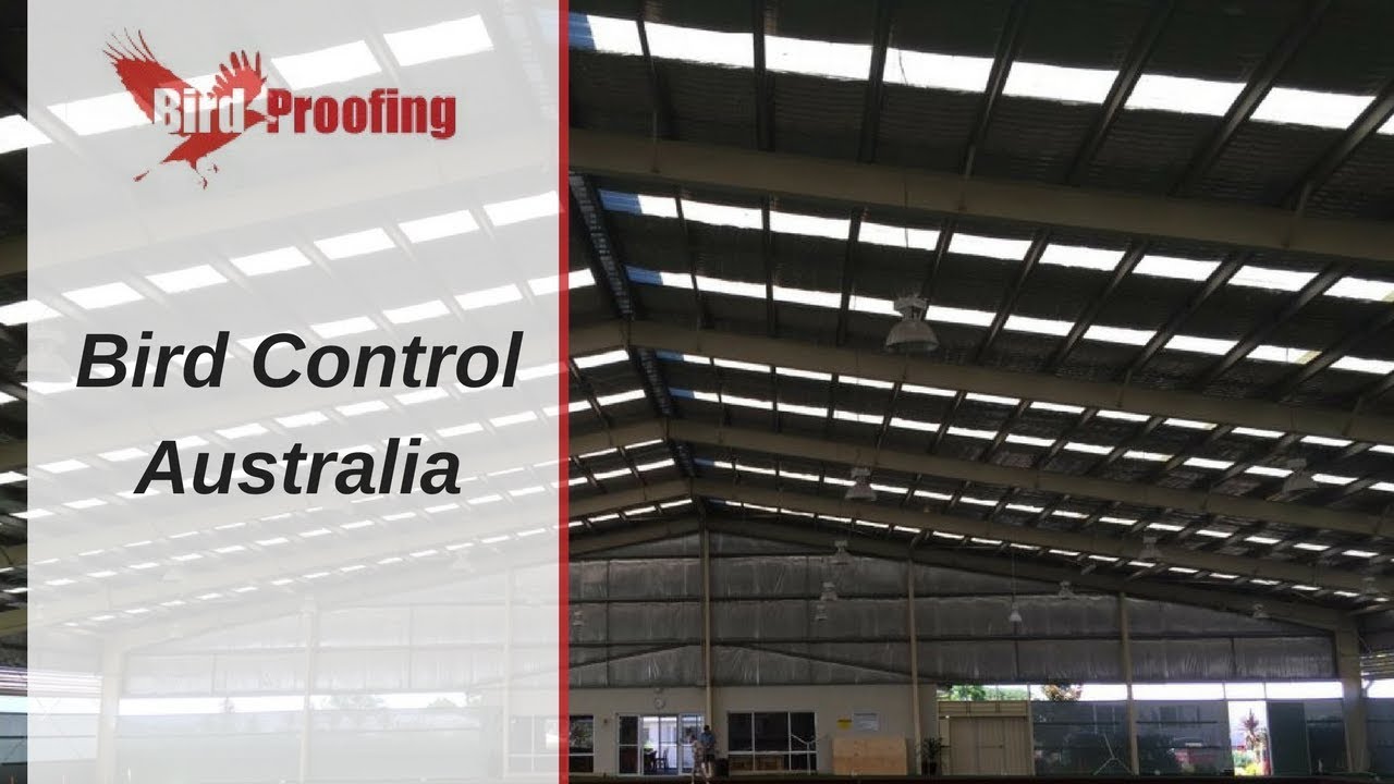 Bird Control Australia - Brisbane, Sydney, Melbourne, Darwin