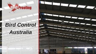 Bird Control Australia - Brisbane, Sydney, Melbourne, Darwin