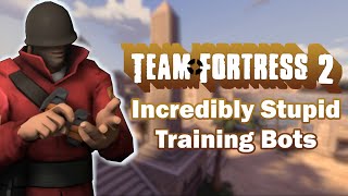 TF2's Incredibly Stupid training Bots