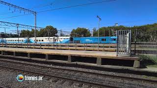 Tren 303 a Mar del Plata con la GT22 A912 por Temperley • 4K • Trenes de Argentina • @trenes.ar
