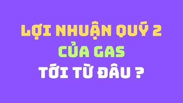 Lợi nhuận Quý 2 của GAS tới từ đâu ?! | Phân tích cổ phiếu GAS