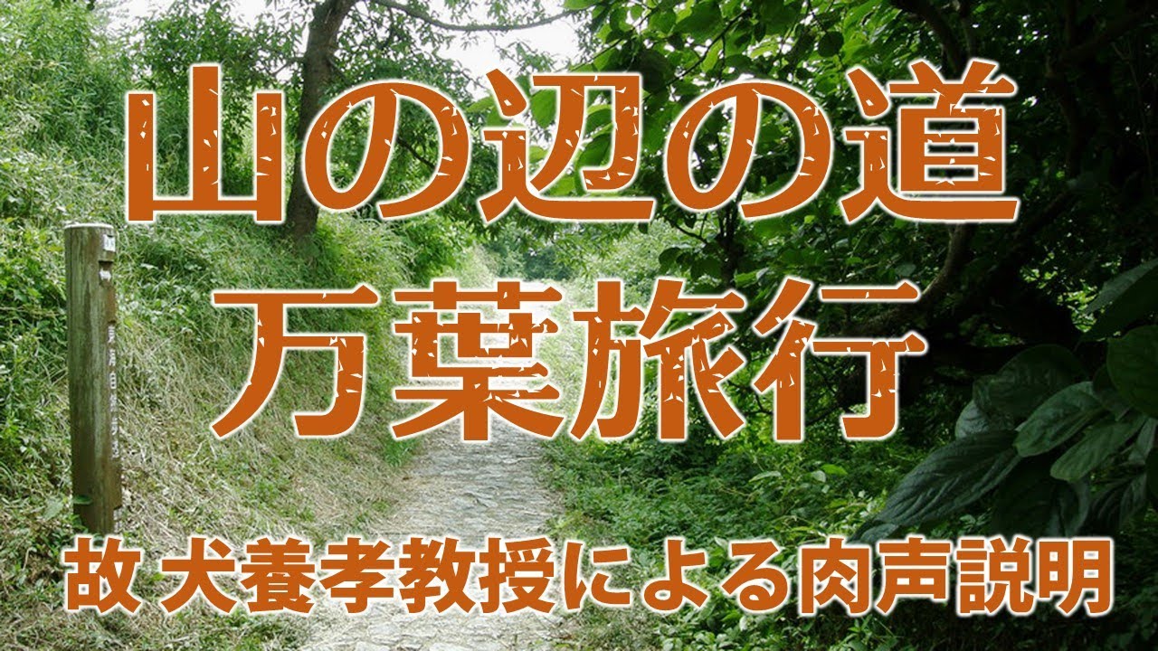 万葉集関係書籍、犬養孝先生のサイン色紙 2025年最新】犬養孝の人気アイテム - メルカリ