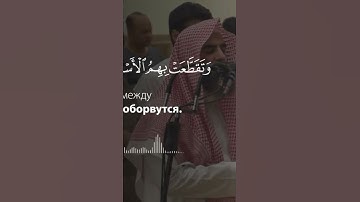 القارئ محمد الحيدان{وَمِنَ النَّاسِ مَنْ يَتَّخِذُ مِنْ دُونِ اللَّهِ أَندَادًا}سورة [البقرة:165]