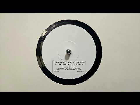 Every Knee Shall Bow – Babba Jah Meets Numesa – Dub – Vibe Generator Records – VGR001