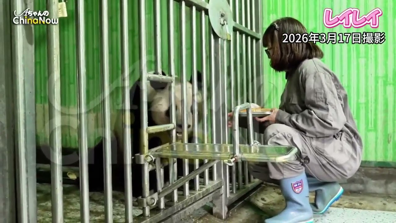 March 17, 2026: New video of 