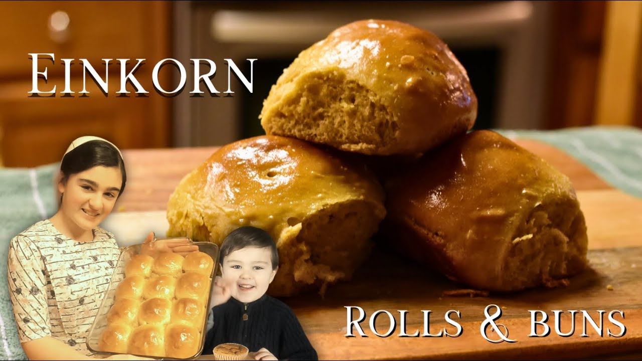 Super Soft Einkorn Hamburger buns And Dinner Rolls