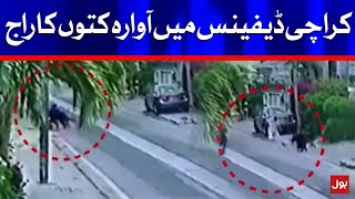 Pet Dogs Attacked Lawyer In Karachi Defense Bol News