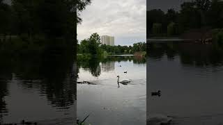 Beautiful Berlin❤️#berlinvlog