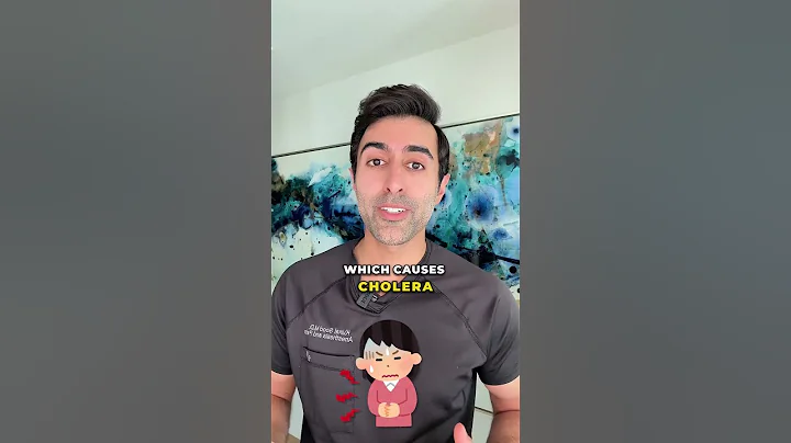 Why Raw Oysters Can Make You Sick