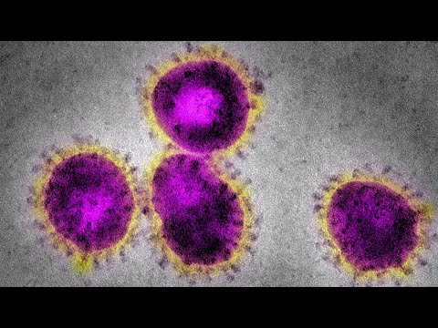 Nuevo Coronavirus SARS-CoV-2 Origen y Biología.