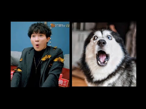 【歌手·当打之年周深】深深来这个节目就是来做reaction的，绝对是最佳观众