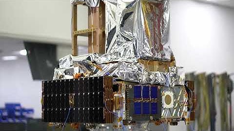 Vigoride Sine Burst Vibe Test