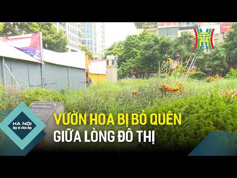 Vườn hoa bị bỏ quên giữa lòng đô thị | Hà Nội đẹp và chưa đẹp