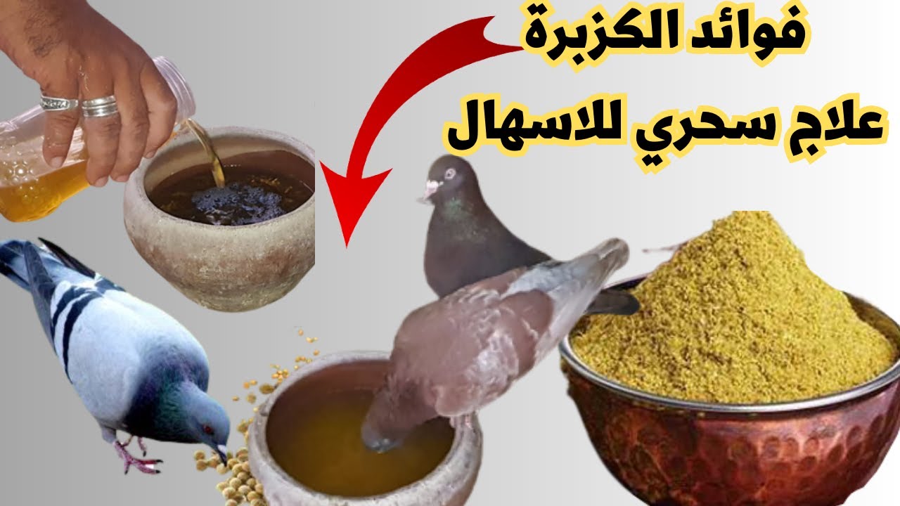 فوائد الكزبرة للحمام| اقوي علاج بالاعشاب للاسهال والسلامونيلا/ابوشام مع الحمام