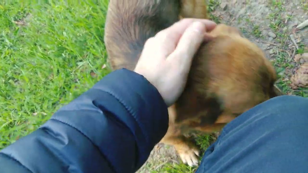 Carpathian adventure