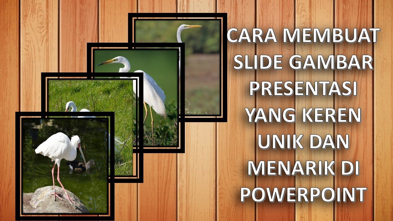 slide presentation cantik