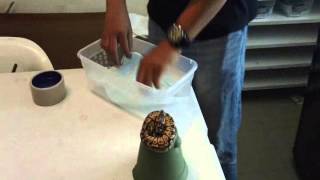 OUR 2012 HOLD BACK Wealth