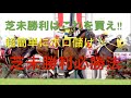 【競馬】芝未勝利必勝法【検証】