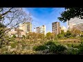 Japan walking tour in Tokyo Ryogoku 2024 4K 60fps HDR