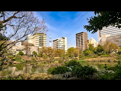 Tokyo, اليابان | Ryogoku | جولة مشي 4K
