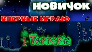 Впервые играю в Terraria! Новичок в деле