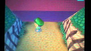 comment avoir l ile animal crossing ds