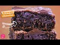  recette de brownie au chocolat facile 